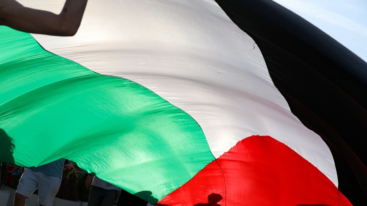 Steagul palestinian desfășurat la o manifestație împotriva acțiunilor Israelului în Gaza Foto: Profimedia