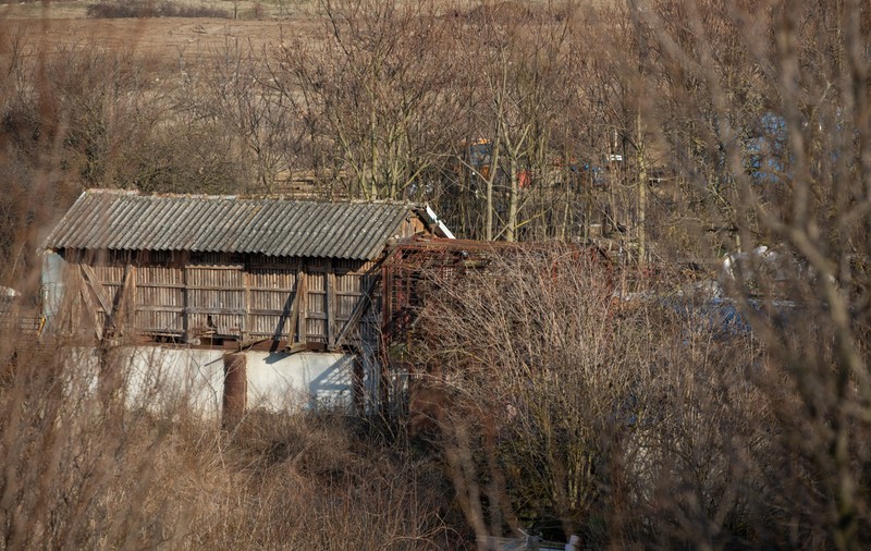 Ferma ilegală de urși din Arad începută în anii ’90 și tolerată de autorități până azi. Instituțiile statului ridică din umeri: „Nu este responsabilitatea noastră”