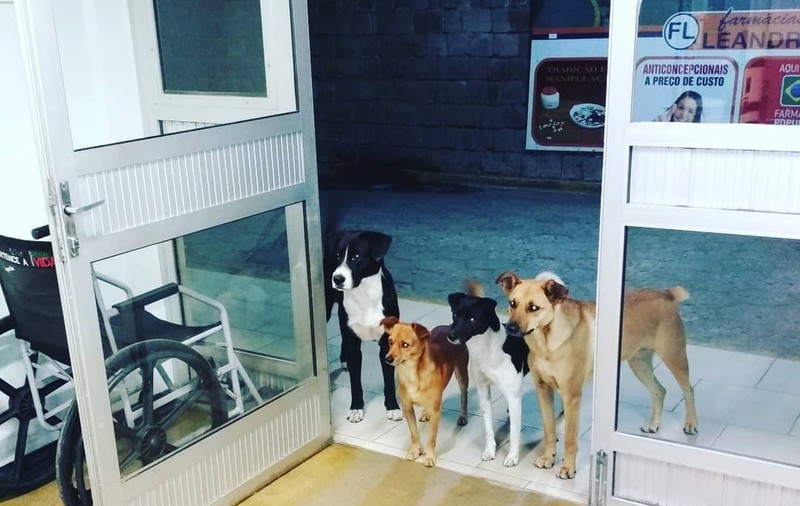 FOTO/ Scene extrem de emoționante într-un spital. Ce s-a întâmplat după ce un om al străzii a fost internat