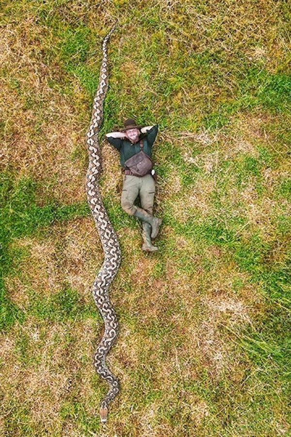 Românul care a măsurat cel mai mare șarpe sălbatic din lume. Foto: Guinness World Records