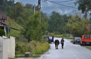 În ciuda peisajelor idilice, comuna Telciu se depopulează