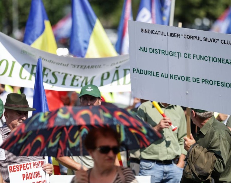 Federația SILVA o acuză pe Diana Buzoianu că refuză dialogul cu specialiștii din domeniu și că preferă să colaboreze exclusiv cu ONG-urile