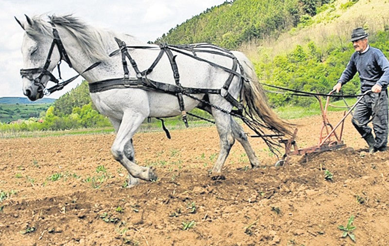 La pensie, dar tot dau cu sapa