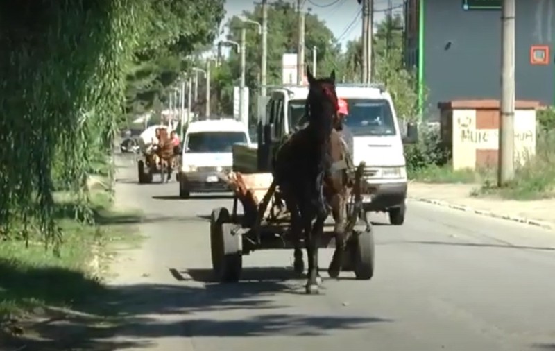 Un convoi de căruțe a fost oprit de jandarmii din Alba. Oamenii legii au dat amenzi în valoare de 10.000 de lei