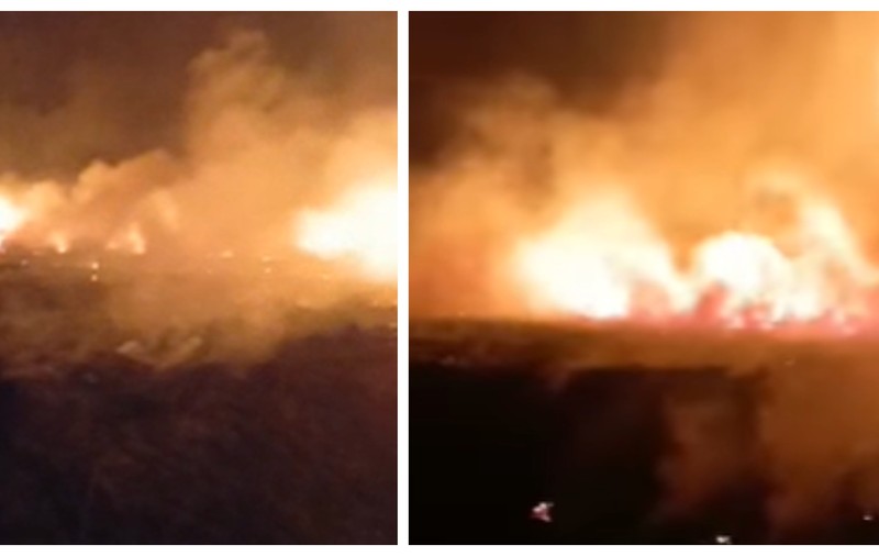Incendiu puternic de vegetație în Prahova. Este al doilea în ultimele 24 de ore