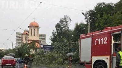 calatori-panicati-tramvai-cluj-napoca-fire-electrice-cazut-peste-mijloc-transport