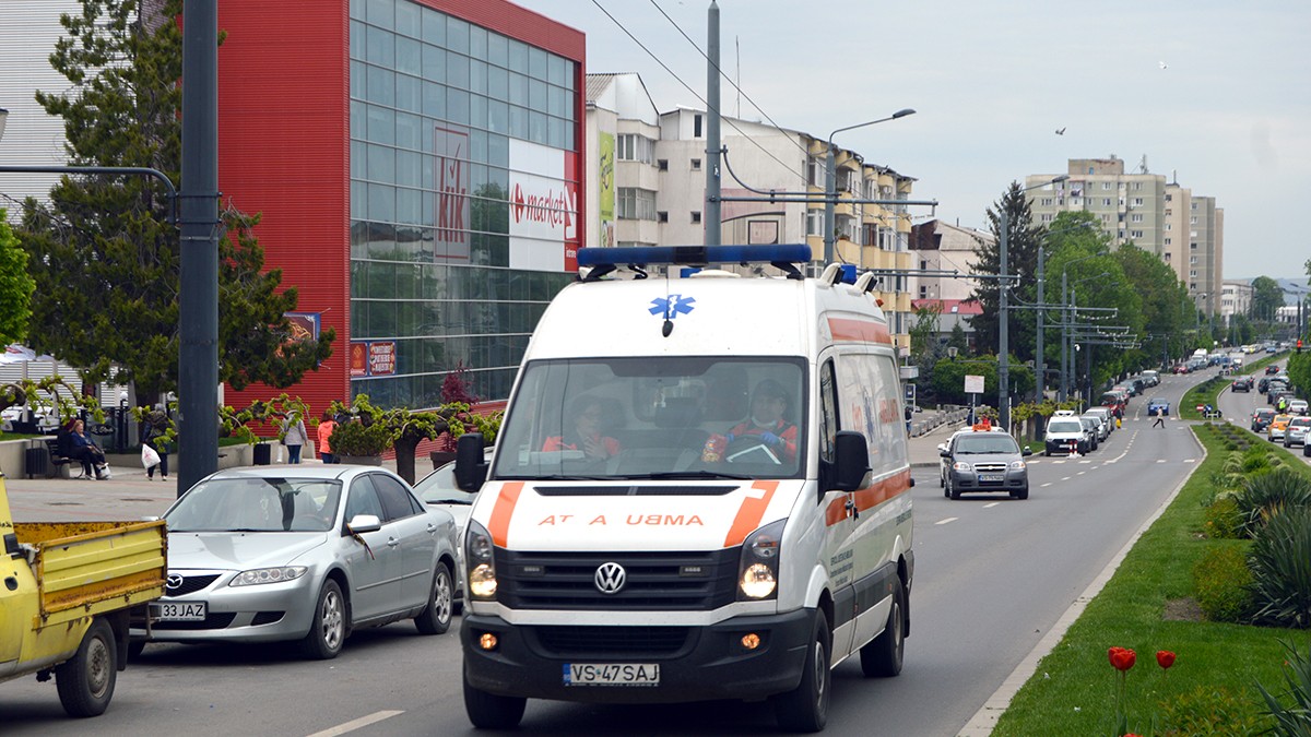 Arhiva foto