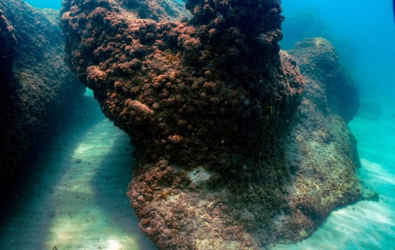 Descoperire rară făcută la 500 de metri adâncime, în Marea Mediterană, cu un submarin controlat de la distanță