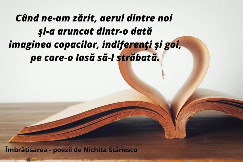 Poezii de Nichita Stănescu