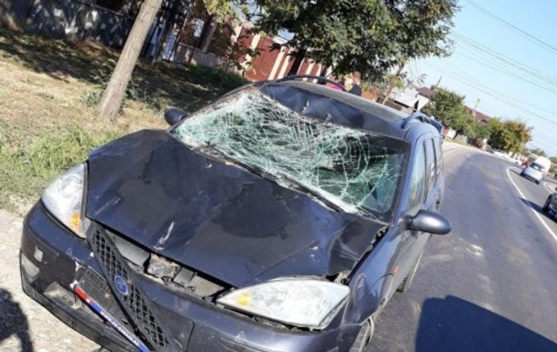 Un cal supus la un test de rezistență a fost ucis de o mașină, în Prahova. Animalul a rupt hamurile și a sărit în stradă |VIDEO