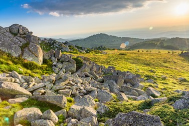 Arhiva foto