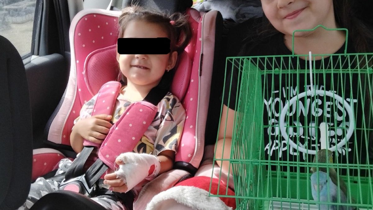 Ima imagine doua fetite pe bancheta din apste a unei masini, una in scaun special pentru copii, cu banda neagra pe ochi, cu mana bandajata, cealalta tinanad in brate o colivie