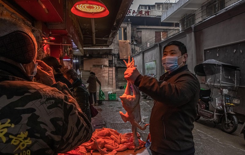 Raport preliminar OMS, după ancheta în Wuhan privind COVID-19. Cele patru ipoteze luate în calcul ca sursă a virusului