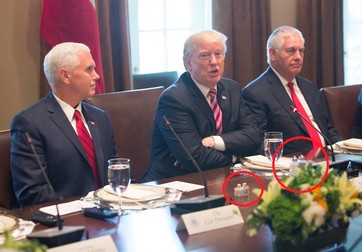 Mike Pence și Donald Trump au solnițe de dimeniuni diferite (Foto: EPA)