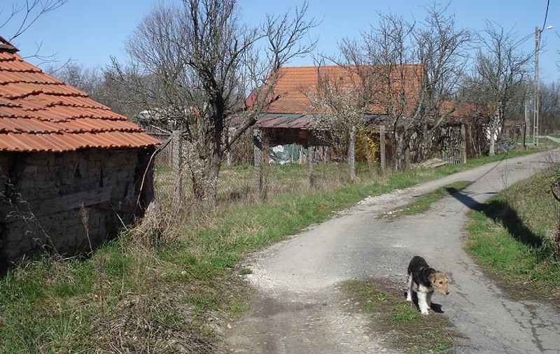 După ce au stat zeci de ani fără lumină în sat, acum se pot bucura! Doar trei persoane au prins minunea!