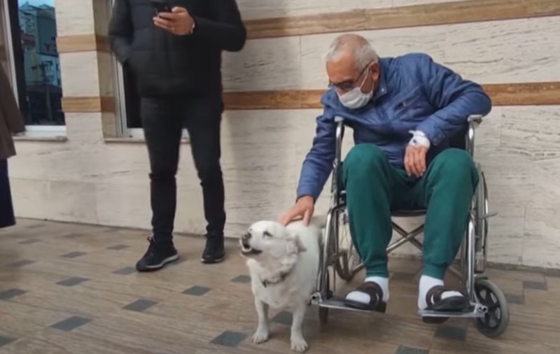VIDEO | În Turcia, un cățel a stat ”de gardă” câteva zile în fața spitalului în care era internat stăpânul său