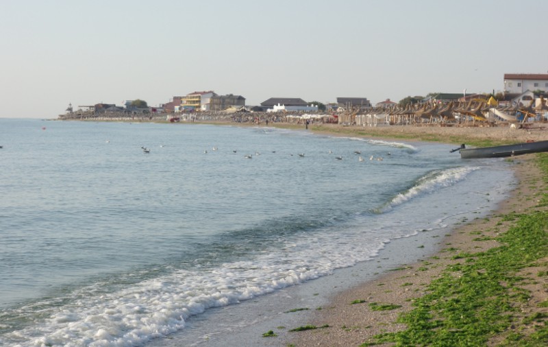Invazie de alge pe litoralul românesc. Plajele din Mamaia, aproape goale, din cauza mirosului