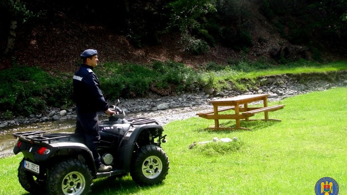 Jandarmi și silvicultori, atacați într-o pădure din Argeș
