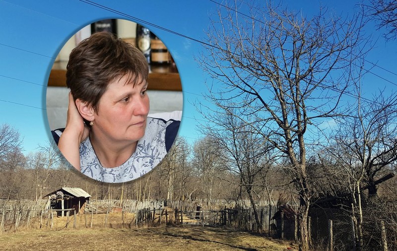 VIDEO / O femeie de 50 de ani a murit electrocutată în cireș! Compania CEZ Oltenia susține că nu are nici o vină, deși patru cabluri treceau prin coroana pomului și au fost dezafectate abia după tragedie!