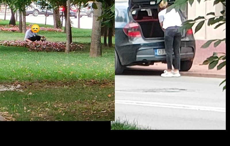 O femeie a fost prinsă la furat de flori, în Craiova: „A coborât dintr-o mașină scumpă și a năvălit în rondurile din parc”