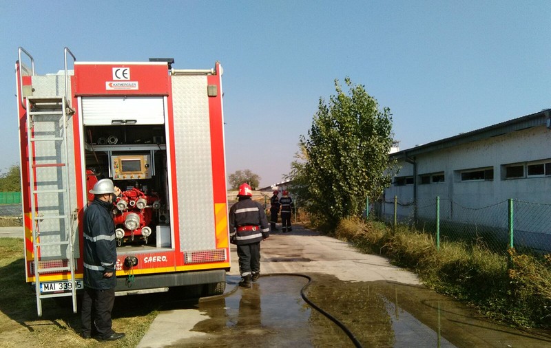 UPDATE: FOTO| Patru răniți în urma unui incendiu la o fermă din Dolj. 1.500 de porci au murit arși de vii ori intoxicați cu fum