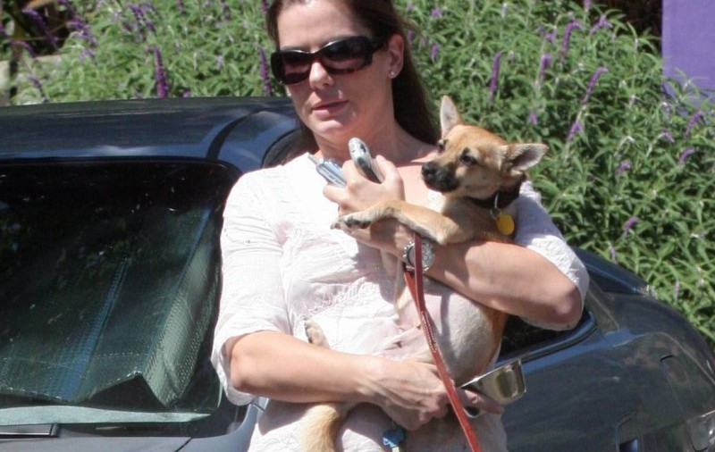 Sandra Bullock şi-a găsit câinele pierdut