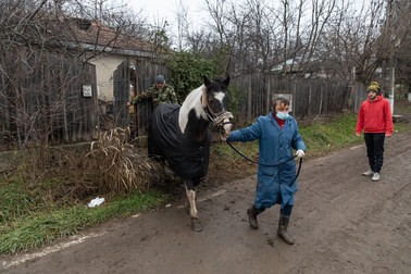 Alexandra şi Măru o scot pe Safira din curte