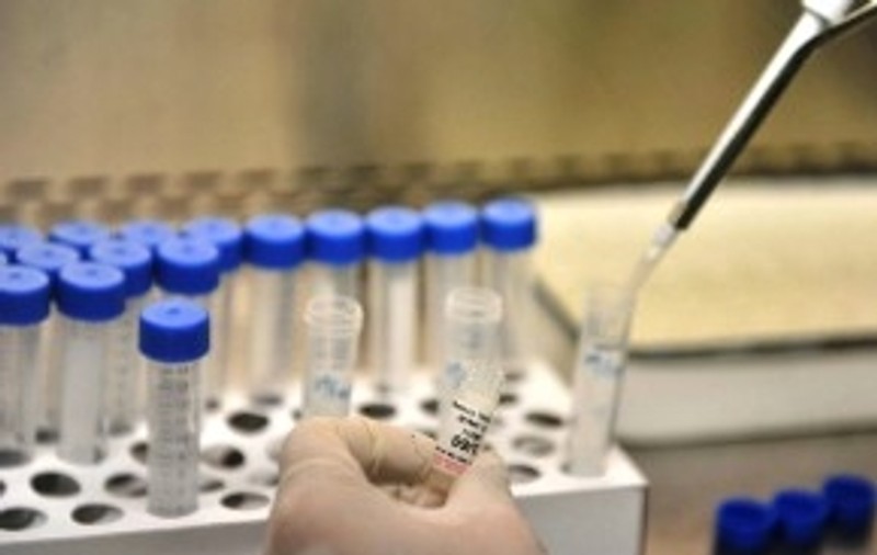 Un vaccin împotriva virusului Zika, disponibil abia către finalul anului