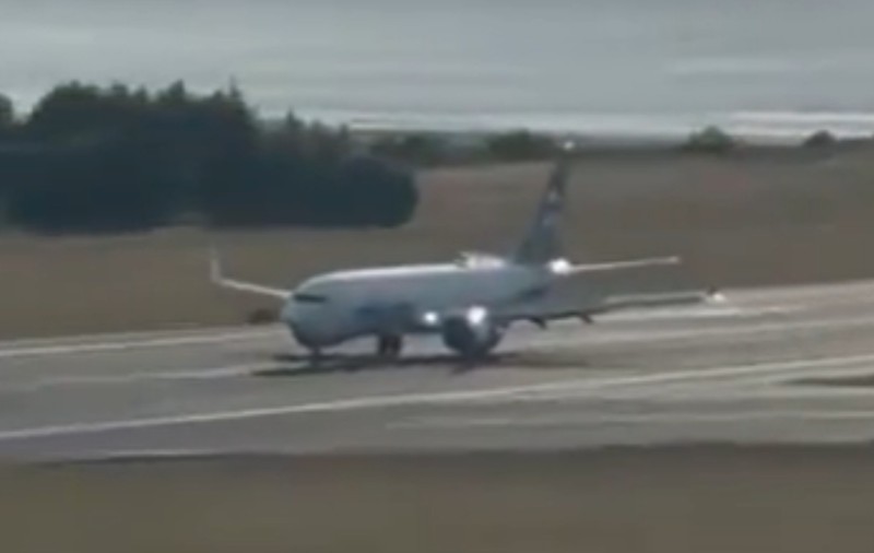 Momentul în care un avion Alaska Airlines a lovit mai multe căprioare la aterizare. Incidentul nu e chiar rar I VIDEO    