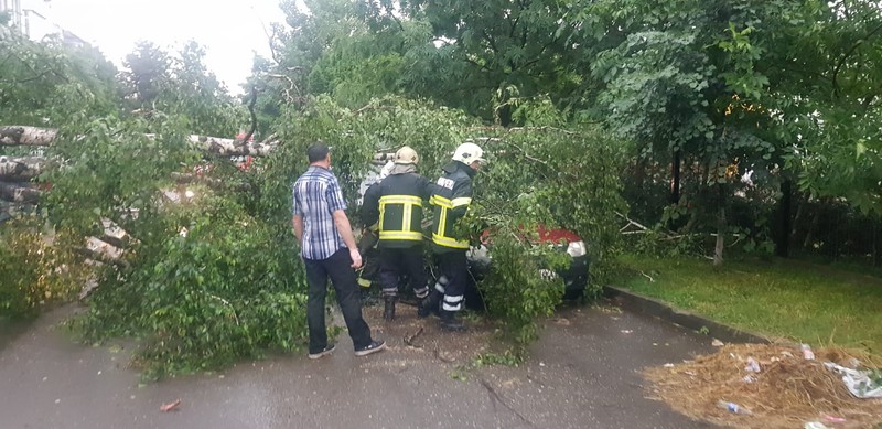 foto: ISU Suceava