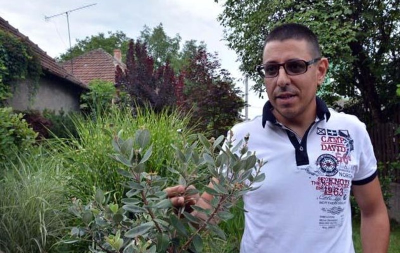 Un orădean are în grădină zeci de soiuri de plante şi pomi de pe cinci continente FOTO