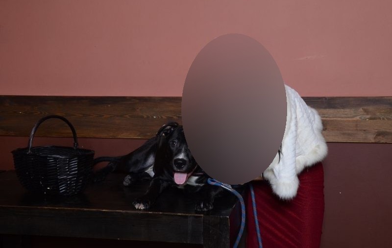 O jurnalistă CELEBRĂ SCHIMBĂ postul de televiziune