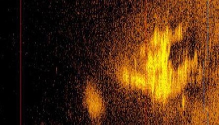This handout sonar image courtesy of Deep Sea Vision released January 29, 2024, shows a a plane shaped object believed to be Amelia Earhart’s Lockheed 10-E Electra resting about 16,000 feet (4875 meters) on the Pacific ocean floor. A deep sea exploration company released a sonar image on January 29, 2024 they say may be the remains of the plane of Amelia Earhart, the famed American aviatrix who disappeared over the Pacific in 1937. Deep Sea Vision (DSV), a South Carolina-based firm, said the image was captured after an extensive search in an area of the Pacific to the west of Earhart's planned destination, remote Howland Island.,Image: 842001164, License: Rights-managed, Restrictions: RESTRICTED TO EDITORIAL USE - MANDATORY CREDIT "AFP PHOTO / HANDOUT / Deep Sea Vision" - NO MARKETING - NO ADVERTISING CAMPAIGNS - DISTRIBUTED AS A SERVICE TO CLIENTS, *** HANDOUT image or SOCIAL MEDIA IMAGE or FILMSTILL for EDITORIAL USE ONLY! * Please note: Fees charged by Profimedia are for the Profimedia's services only, and do not, nor are they intended to, convey to the user any ownership of Copyright or License in the material. Profimedia does not claim any ownership including but not limited to Copyright or License in the attached material. By publishing this material you (the user) expressly agree to indemnify and to hold Profimedia and its directors, shareholders and employees harmless from any loss, claims, damages, demands, expenses (including legal fees), or any causes of action or allegation against Profimedia arising out of or connected in any way with publication of the material. Profimedia does not claim any copyright or license in the attached materials. Any downloading fees charged by Profimedia are for Profimedia's services only. * Handling Fee Only ***, Model Release: no