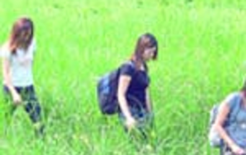 Chinezoaicele treceau prin Romania intr-o caruta