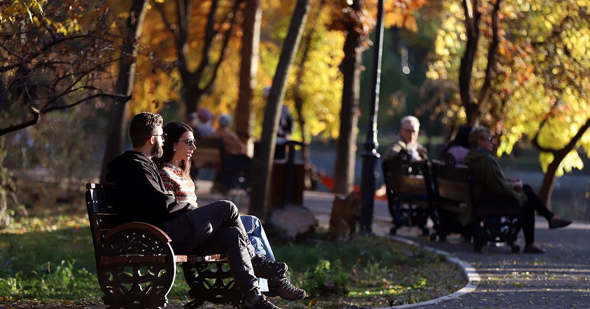 Cuplu surprins în timp ce stă pe bancă în parc