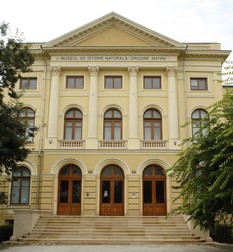 Muzeul Antipa