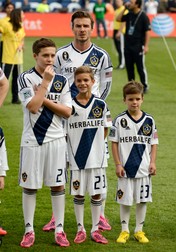 h_50619508.jpg