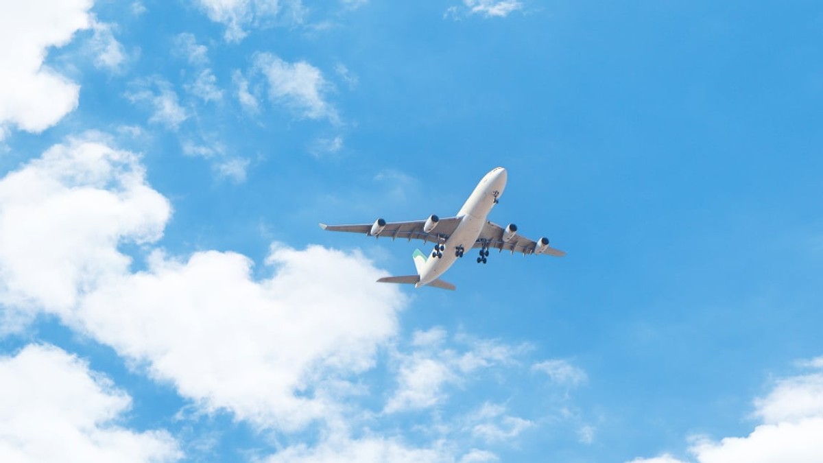 un avion alb
