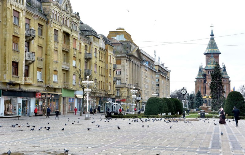 Preşedintele CJ Timiş, după ce Arafat a prelungit carantinarea Timișoarei: Luăm în calcul atacarea în instanţă a ordinului