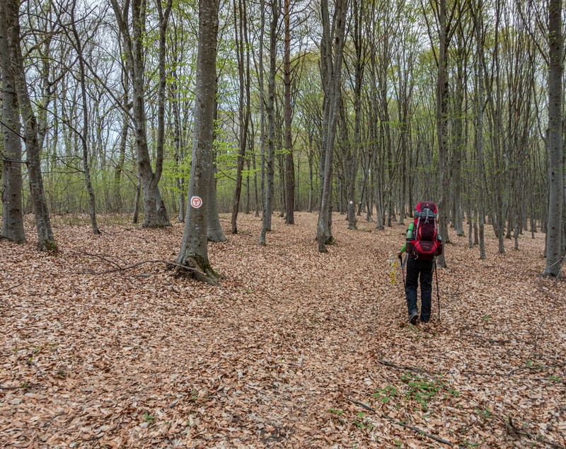Via Transilvanica, descrisă de călătorii care au străbătut integral traseul de 1.400 de kilometri: „Vei afla poate că ești mai puternic decât credeai”