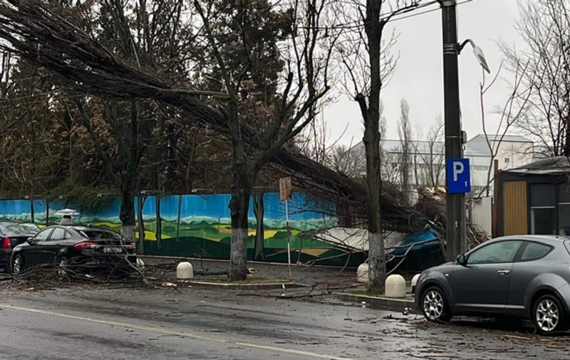 Un copac a căzut pe o maşină în care se afla o familie cu un copil, pe centura Capitalei. Victimele, la spital. Și o tânără de 22 de ani a fost rănită în sectorul 6