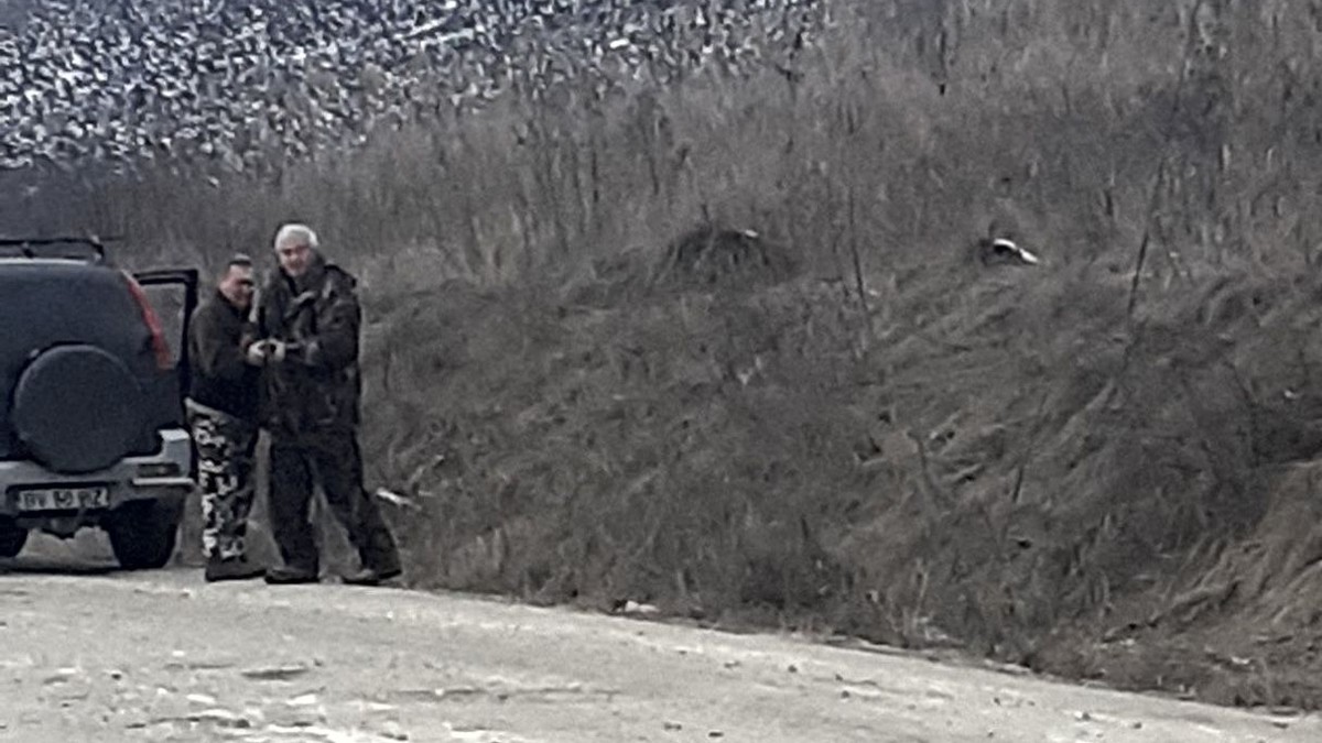 Vânător filmat cu pușca scoasă pe geamul mașinii, la vânătoare de iepuri pe un drum public din Brașov. L-a bătut și amenințat cu moartea, spune cel care l-a filmat