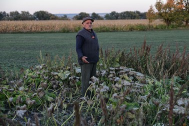 Ca să ude legumele, cară apă cu bidonul, de la fântâna din faţa casei, pe care a făcut-o acum doi ani. Sursa foto: Vlad Chirea