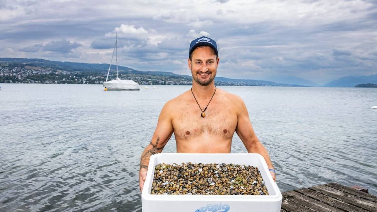 Manuel Vock, un antreprenor elvețian de 37 de ani din Oberrieden, colectează din Zürichsee scoici Körbchenmuscheln