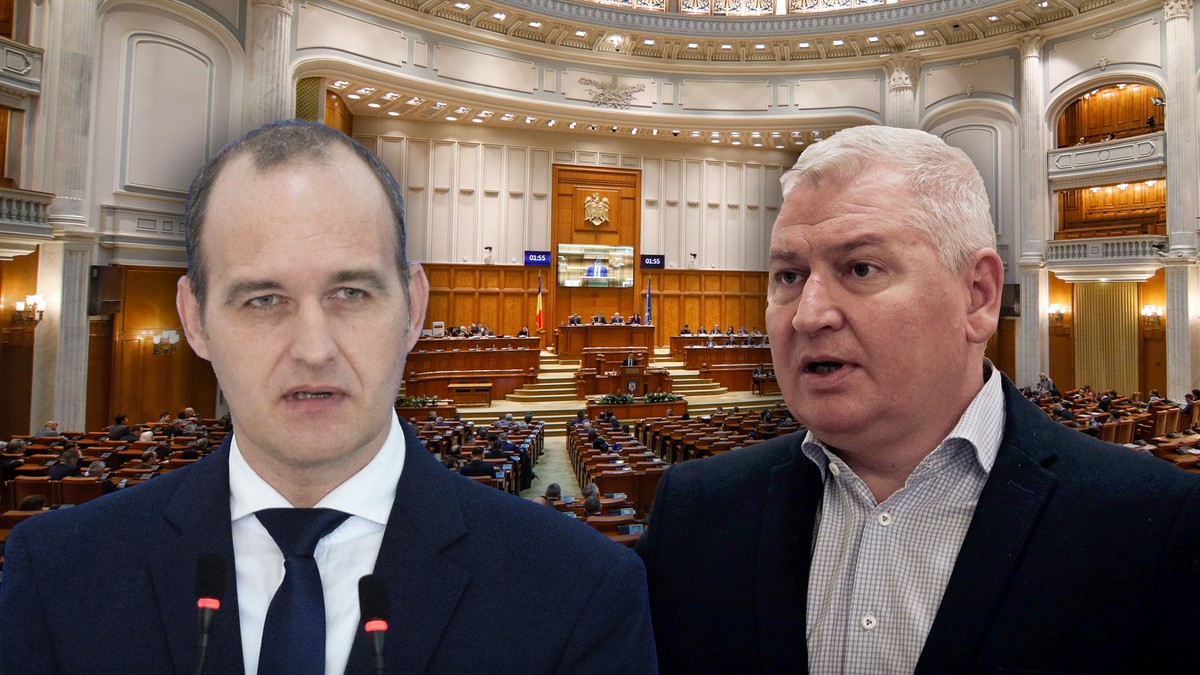 Deputații Dan Vîlceanu și Florin Roman s-au bătut în Parlament