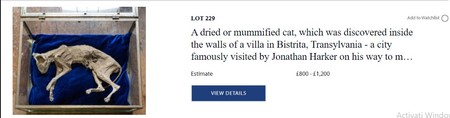 Anunțul despre pisica mumificată din Bistrița pe site-ul casei de licitație din Londra FOTO: hansonslive.hansonsauctioneers.co.uk