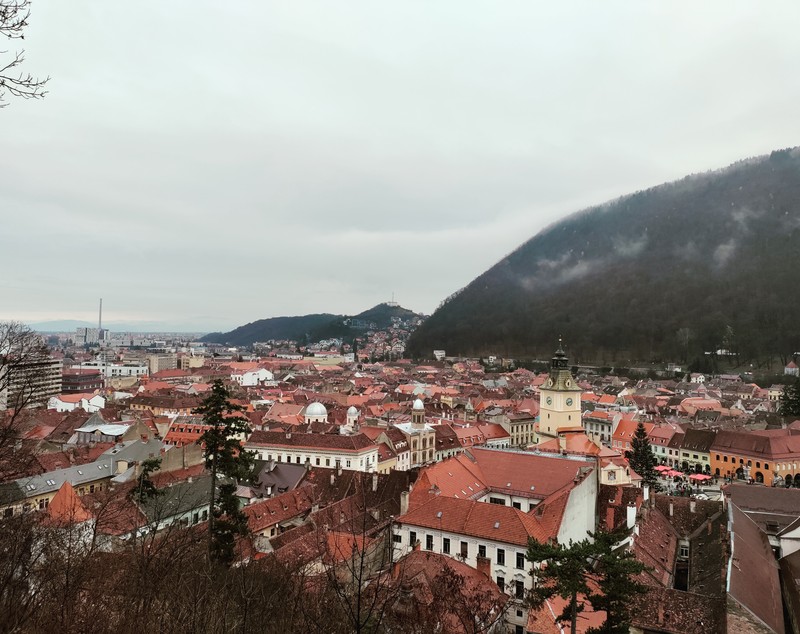Americanii care s-au îndrăgostit de România și de țuică datorită unei burse Fulbright. „Nu resimt aici pericolul de jaf armat care există acasă”