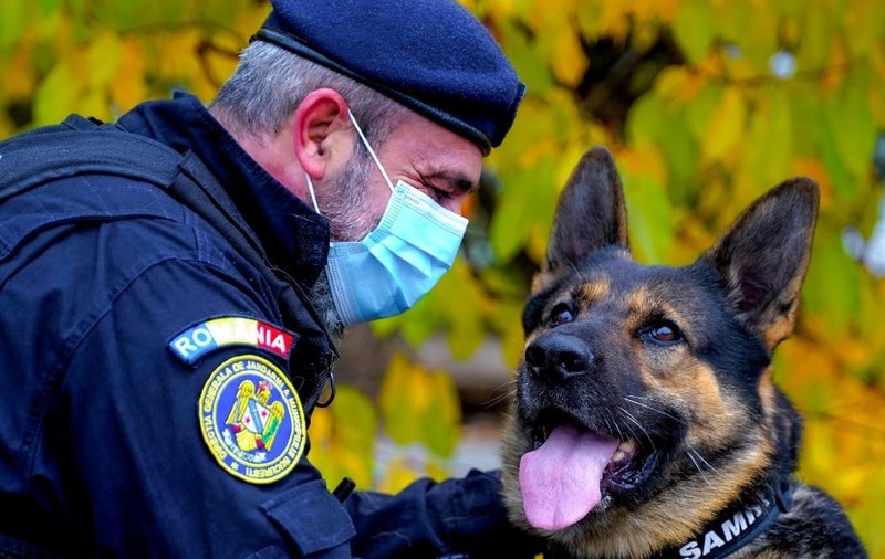 MAI cere românilor să nu folosească petarde de Revelion: „Pentru animale este un coșmar”