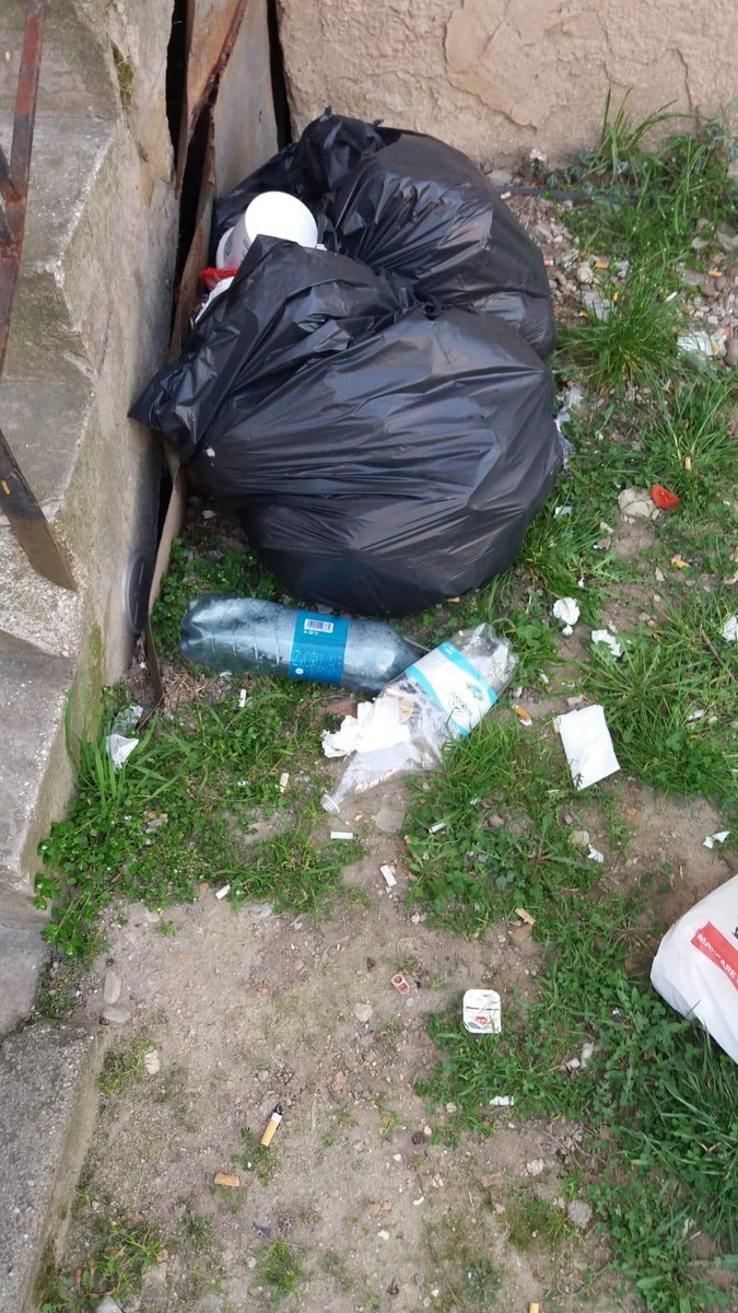Gunoiul era la el acasă în curtea internatului din Lugoj folosit ca loc de carantină