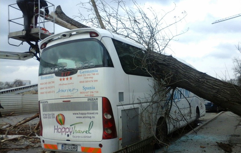 Un copac doborât de vânt a făcut praf un autocar / FOTO